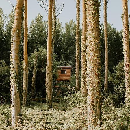 Bonita Cabana De Los Arboles En La Rioja , Durmiendo Entre Arboles Anguciana Экстерьер фото