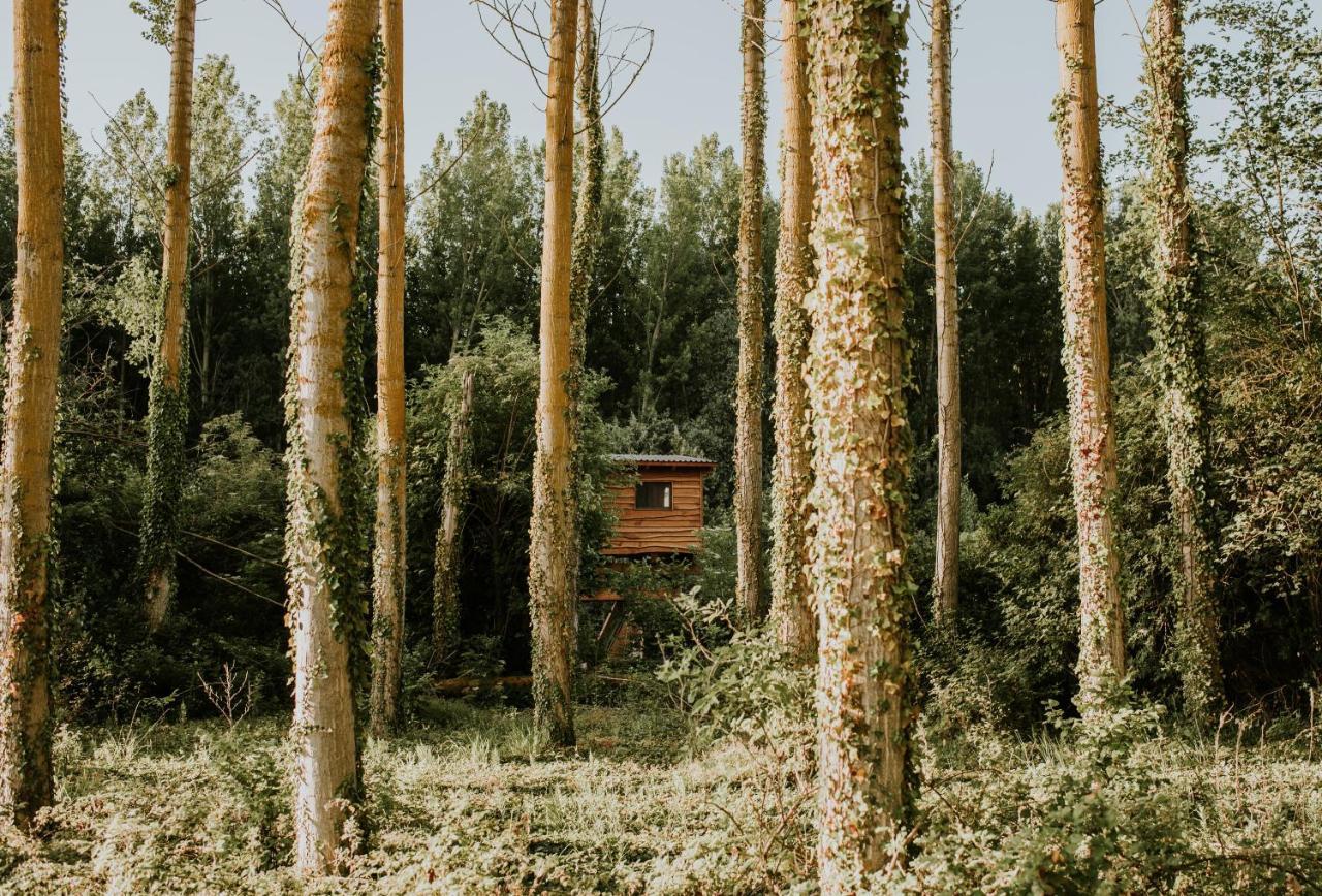 Bonita Cabana De Los Arboles En La Rioja , Durmiendo Entre Arboles Anguciana Экстерьер фото
