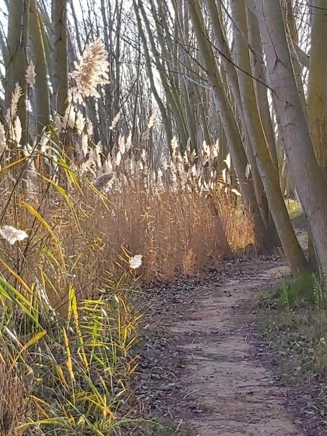 Bonita Cabana De Los Arboles En La Rioja , Durmiendo Entre Arboles Anguciana Экстерьер фото